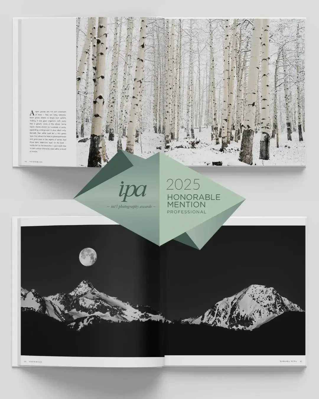 Tamara Susa International Photography Awards honorable mention