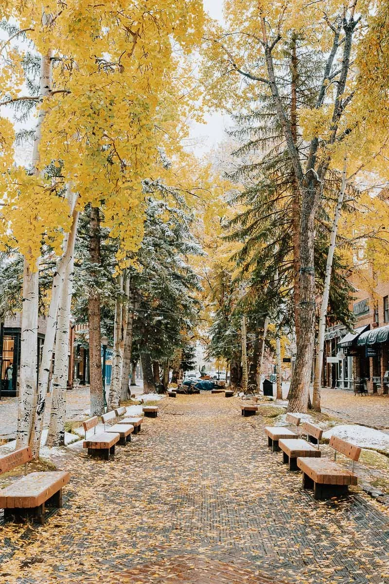 TamaraSusa_HistoricAspen_FallMeetsWinter2025-55.jpg