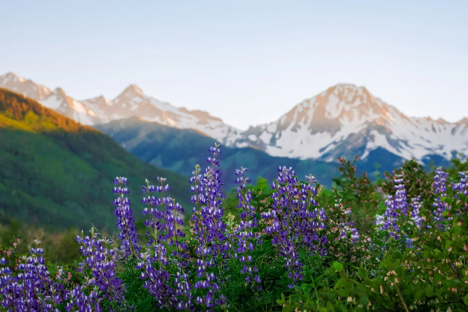 TamaraSusa_FourSeasonsinSnowmass-565.jpg