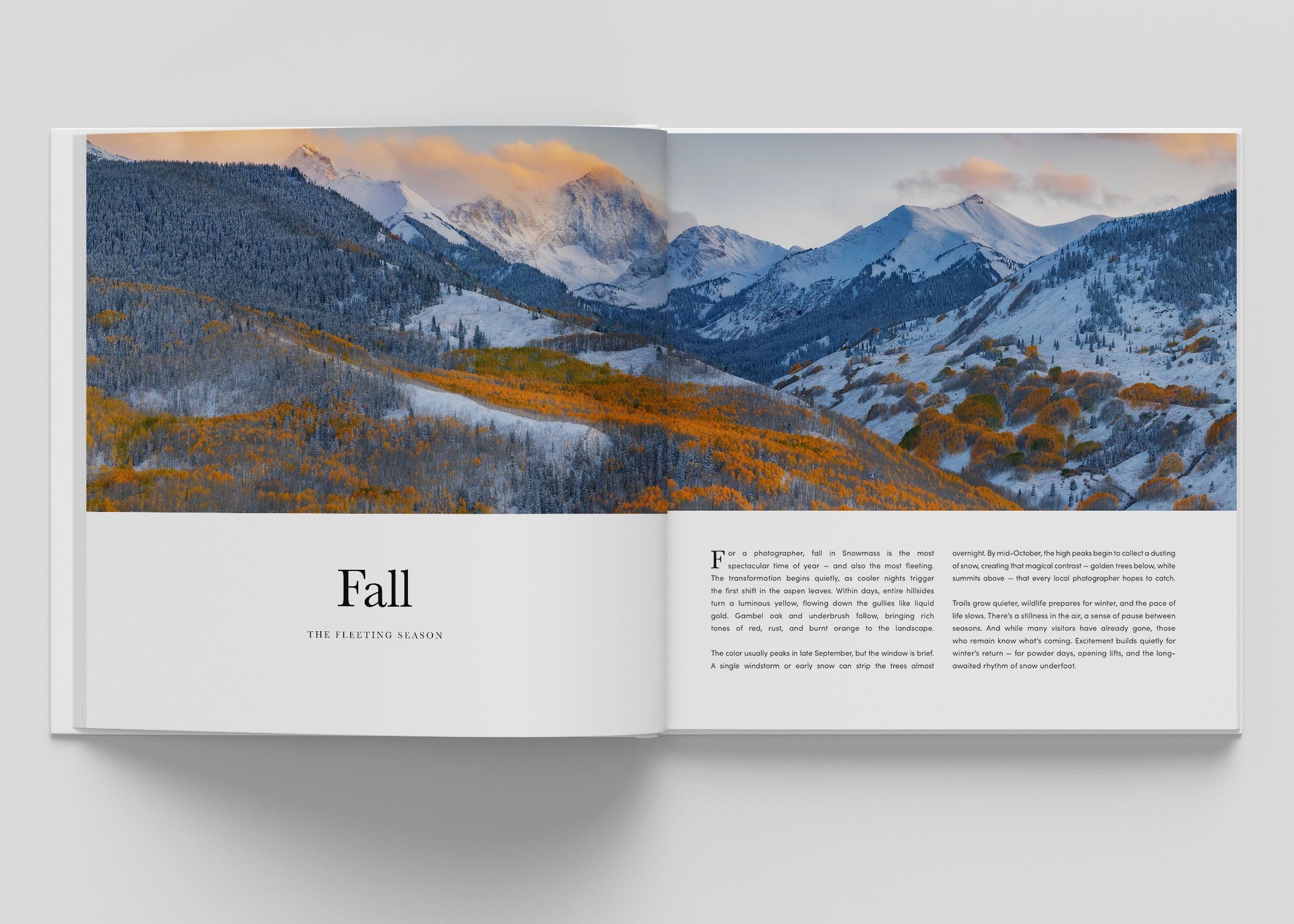 Four Seasons in Snowmass pages4.jpg