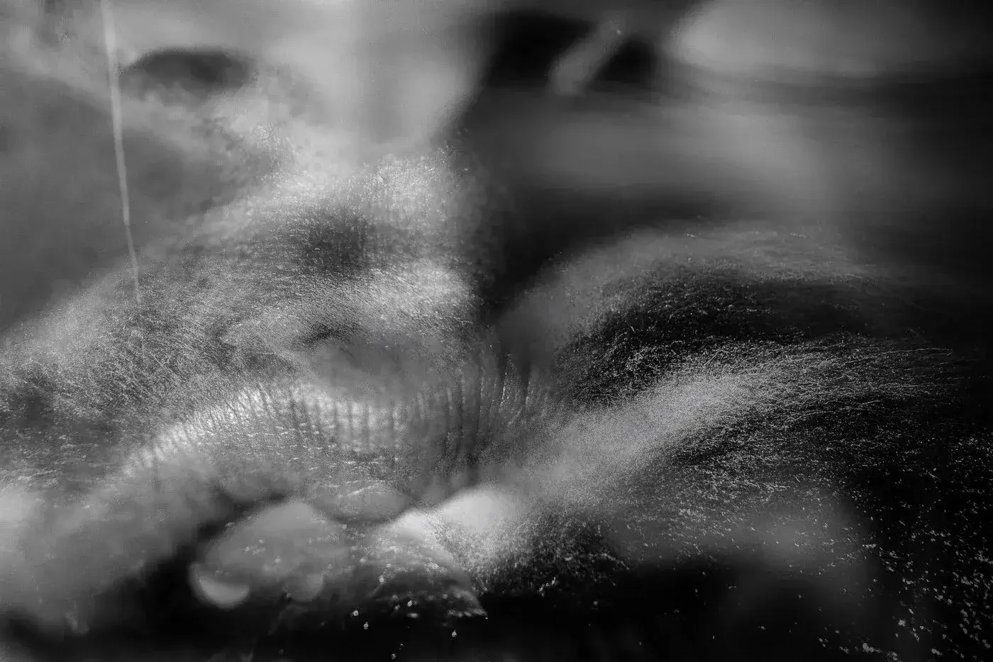 Close-up black and white photograph of a person's face with eyes closed, covered in a fine mist or sweat, creating a textured, abstract appearance.
