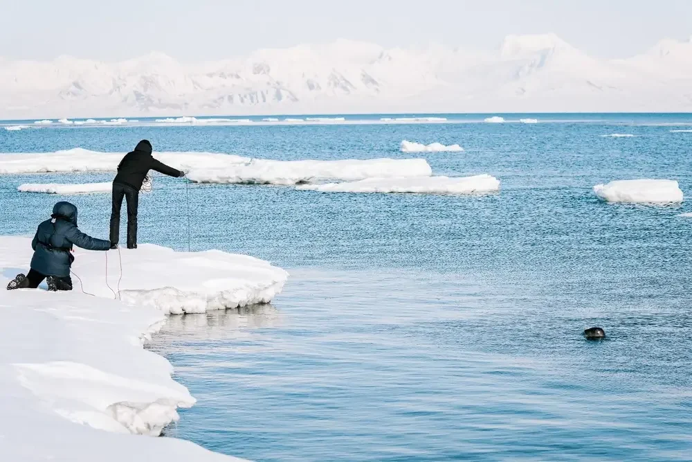 Two people in winter gear on a snowy shoreline, one kneeling and the other standing, observing a seal swimming near floating ice in a cold, icy sea with mountains in the background.
