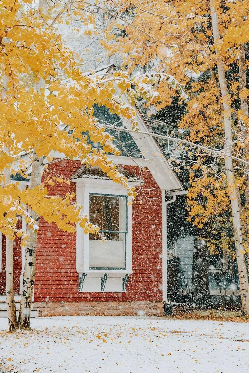 TamaraSusa_HistoricAspen_FallMeetsWinter2025-35.jpg