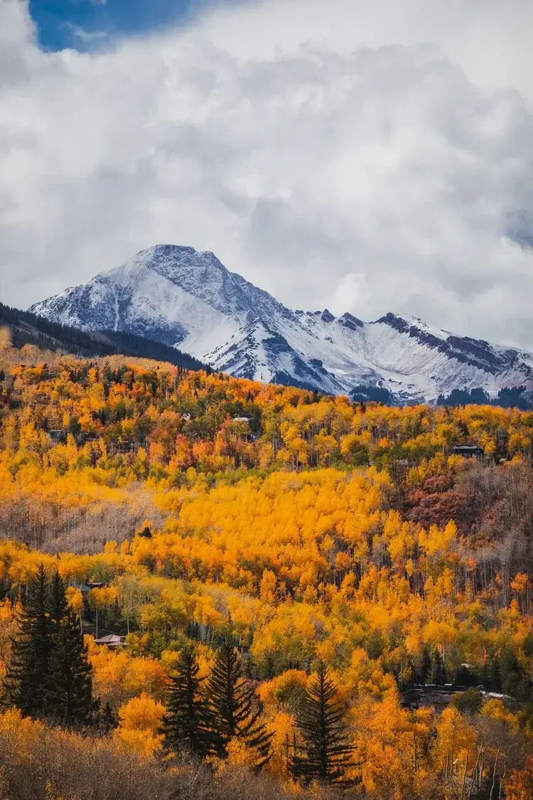A mountain landscape with snow-capped peaks in the background and a forest of orange and yellow autumn trees in the foreground.
