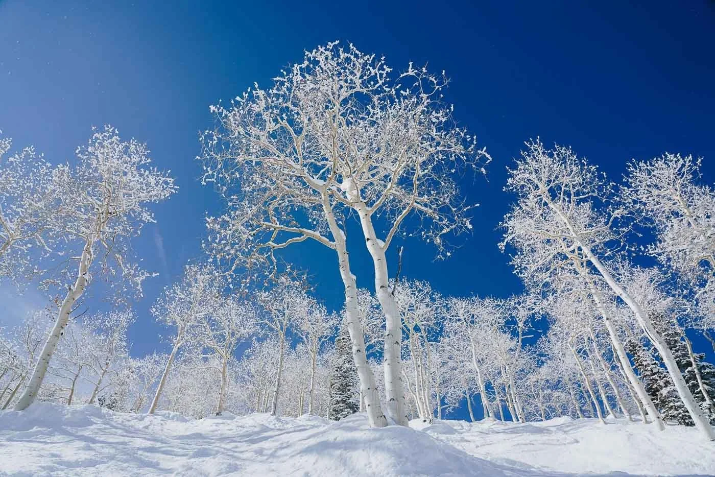Aspen Mountain Dumps | Aspen, Colorado