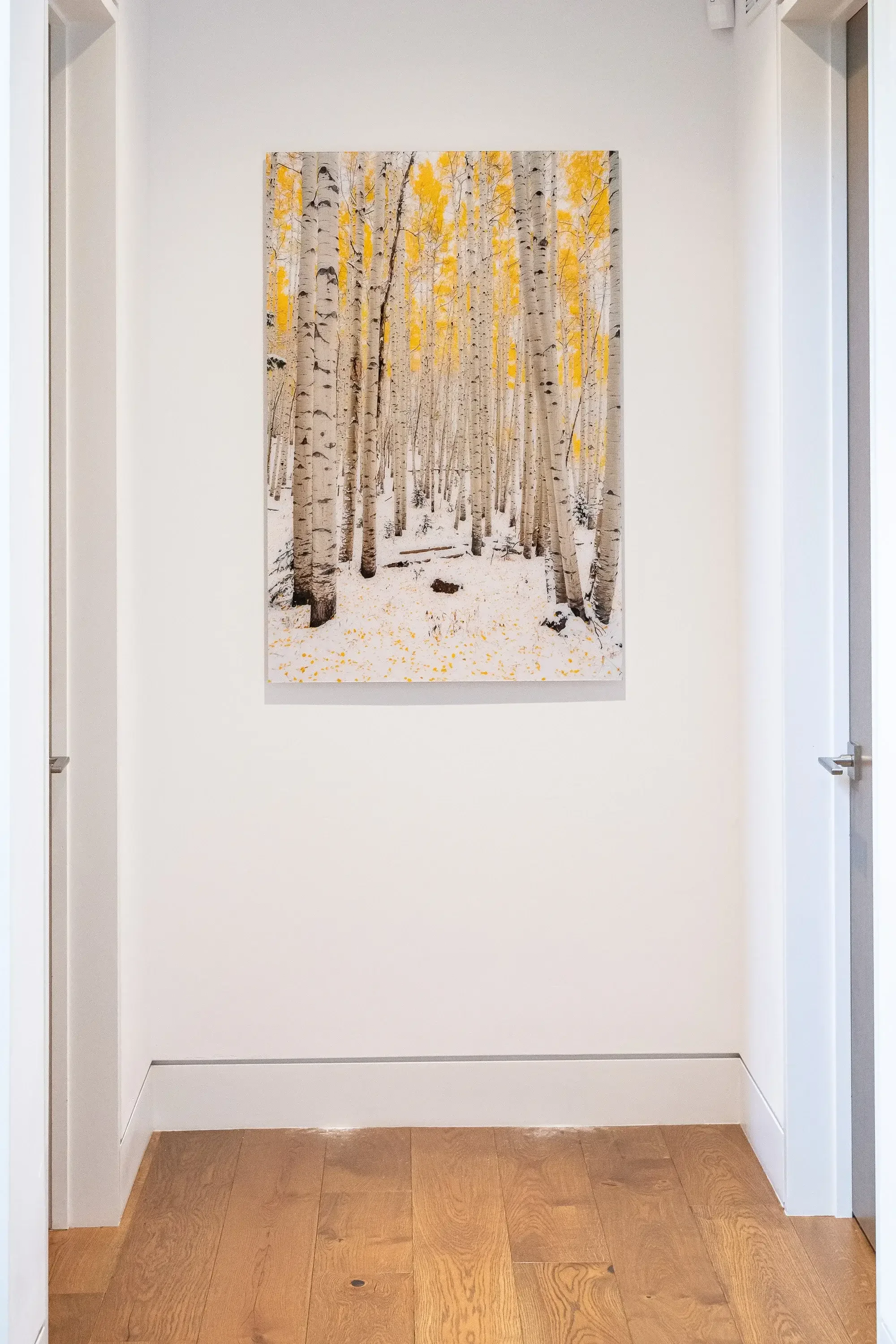 Fine Art Print - Sprinkles on a Cupcake