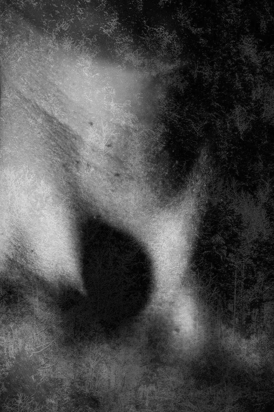 Black and white abstract image of a woman's face with delicate, textured patterns overlaying her features.

