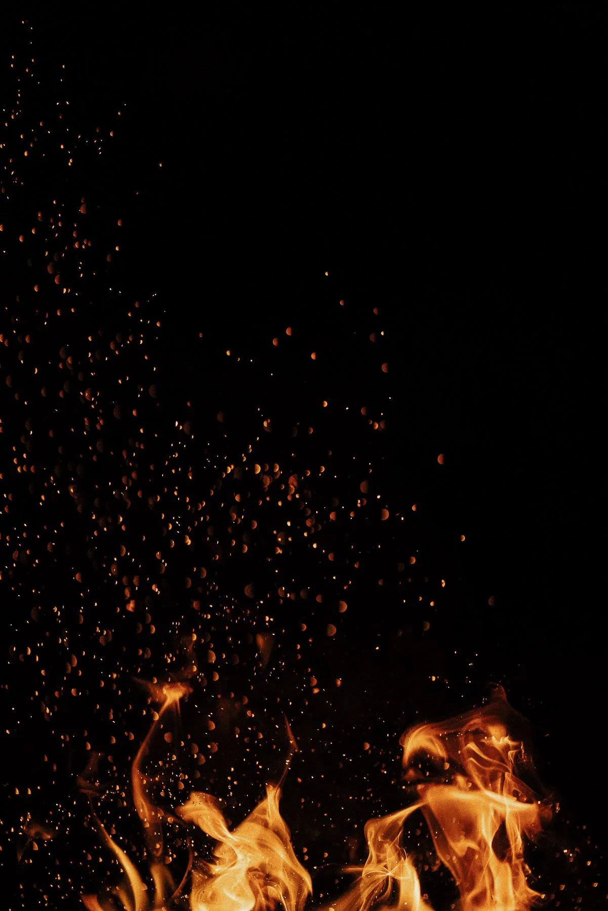BTX02547.jpg