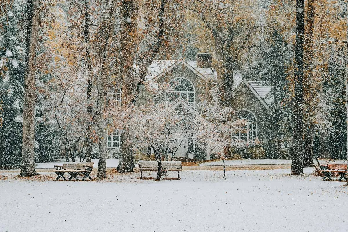 TamaraSusa_HistoricAspen_FallMeetsWinter2025-42.jpg