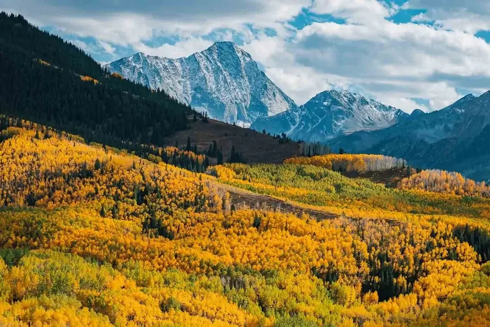 Snow-capped mountains overlooking colorful autumn trees on a hillside.