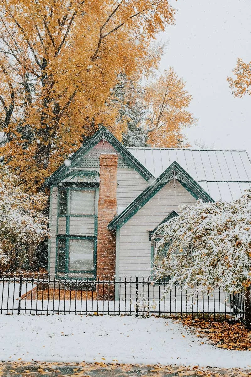 TamaraSusa_HistoricAspen_FallMeetsWinter2025-33.jpg