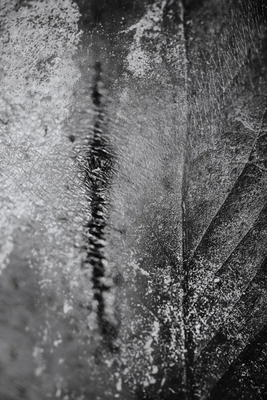 Close-up of a textured surface with ice cracks, frost patterns, and condensation on a glass surface.
