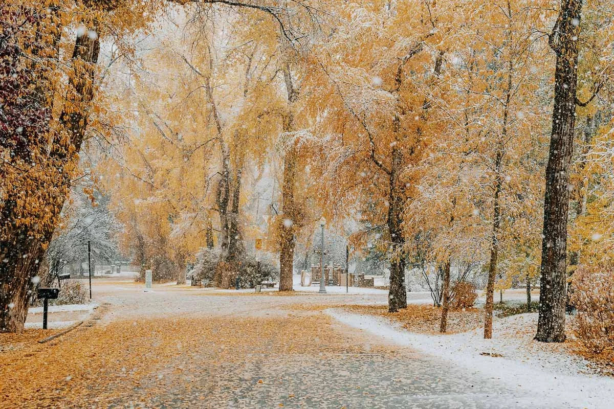 TamaraSusa_HistoricAspen_FallMeetsWinter2025-31.jpg