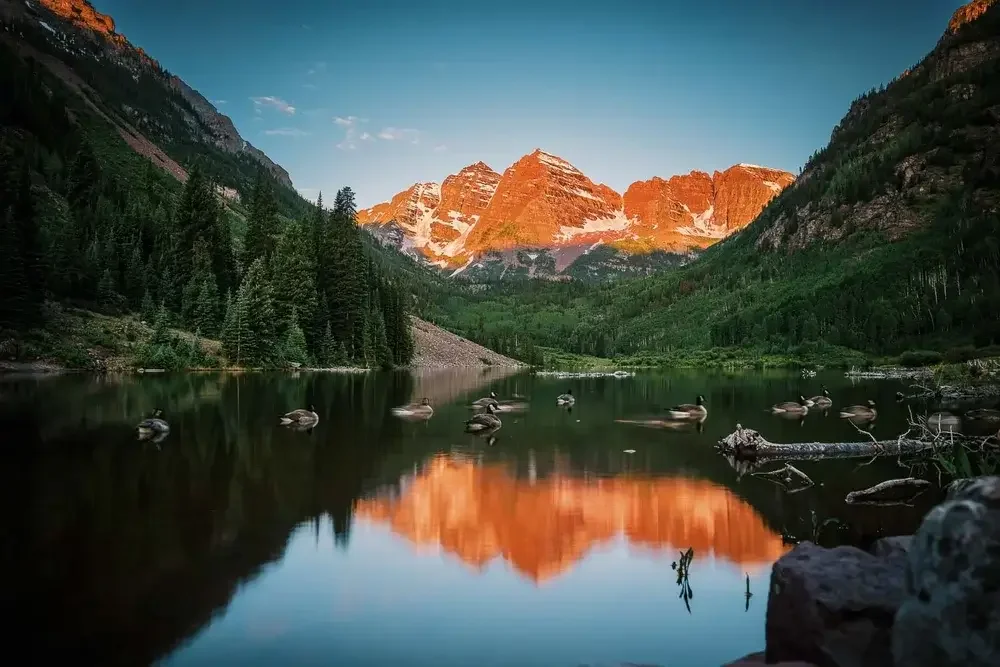 A peaceful lake surrounded by green trees and mountains with snow-capped peaks at sunrise or sunset, with ducks floating on the water and their reflections visible.