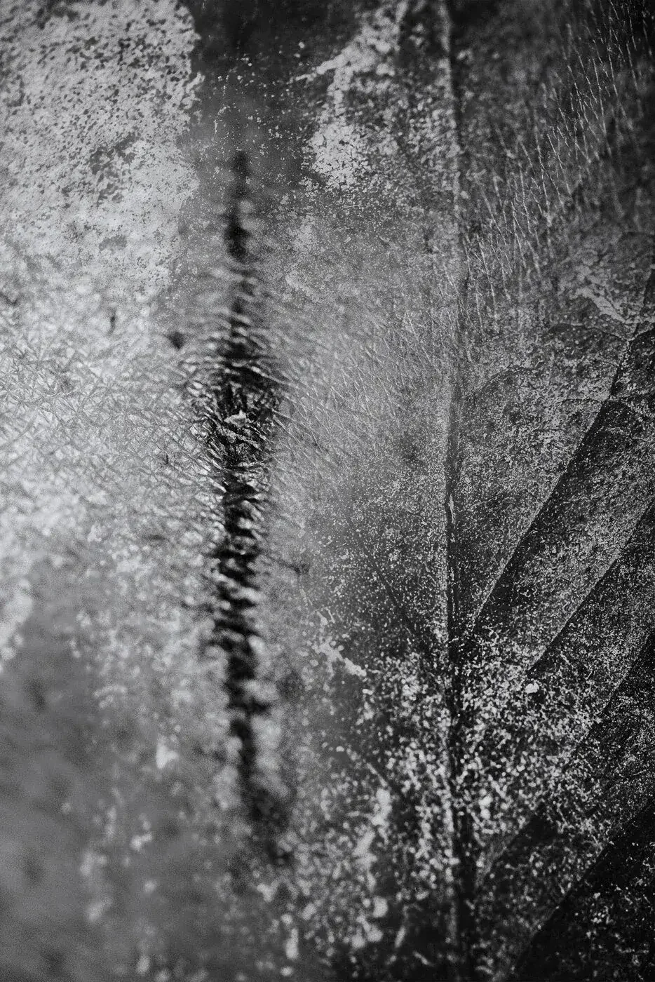 Close-up of a foggy or frosted glass surface with visible ice crystals and textured patterns.