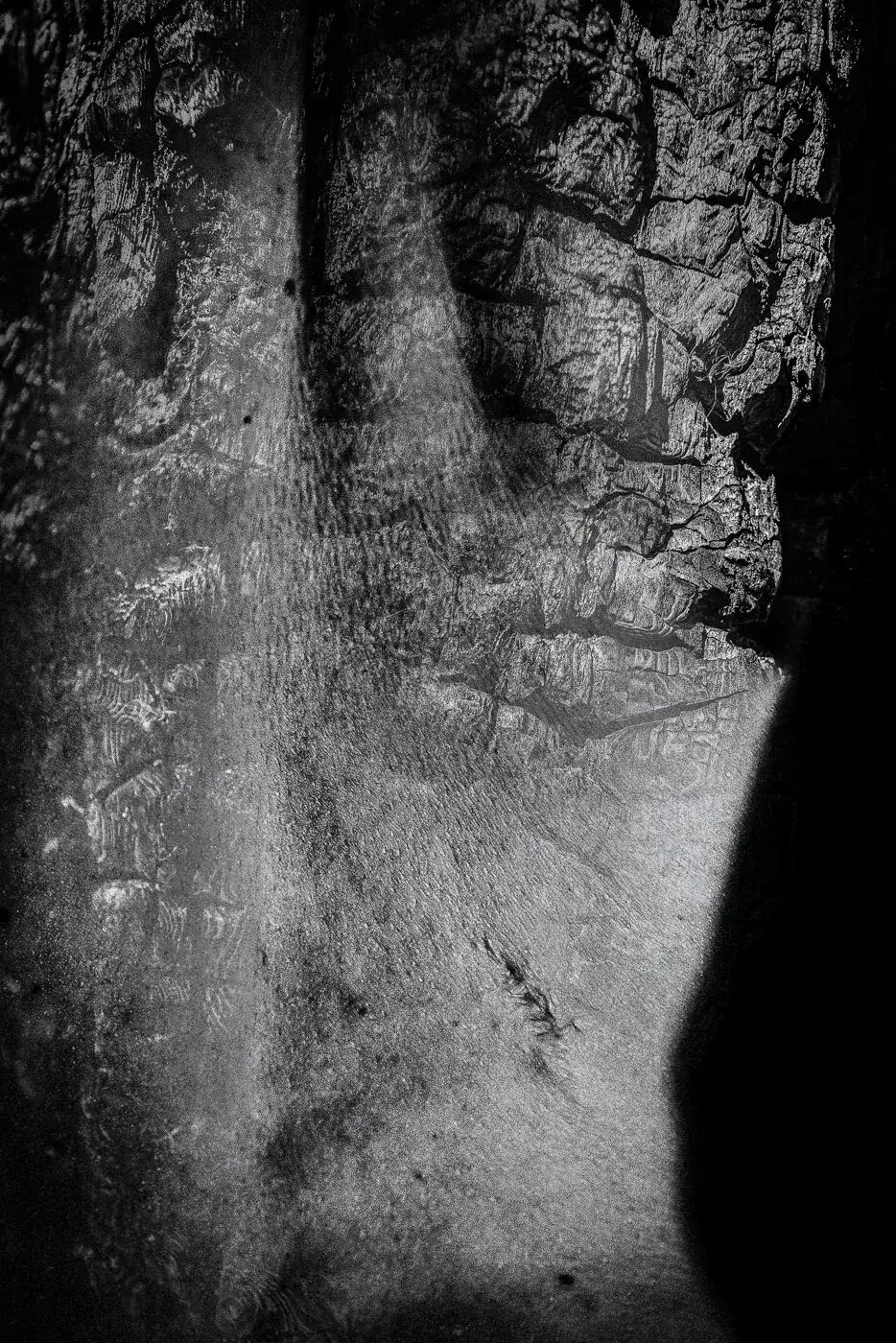 Close-up of a textured rock face in black and white, showing cracks and detailed surface patterns.