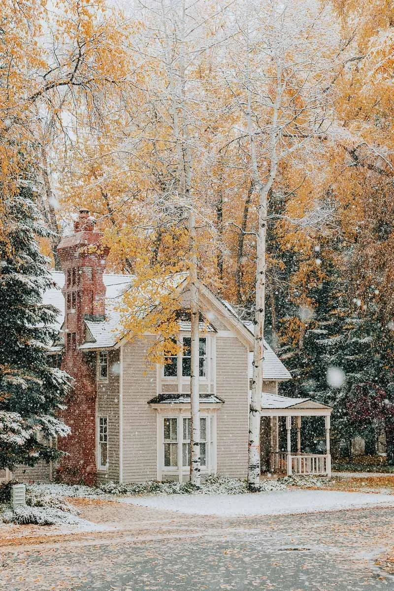 TamaraSusa_HistoricAspen_FallMeetsWinter2025-29.jpg
