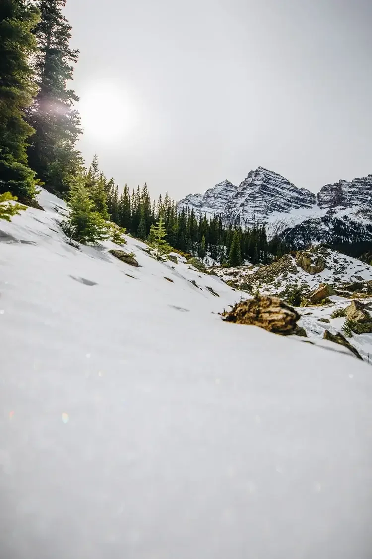 Snow-covered mountain landscape with evergreen trees and rocky peaks under a cloudy sky, with the sun faintly visible through the clouds.
