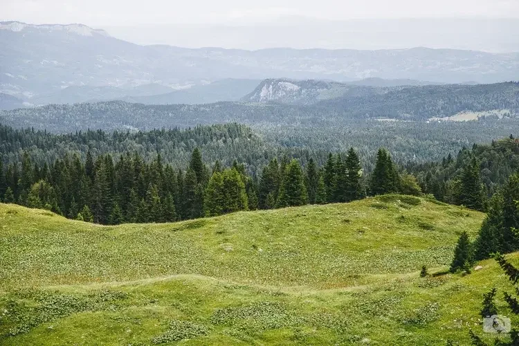 Jahorina 6
