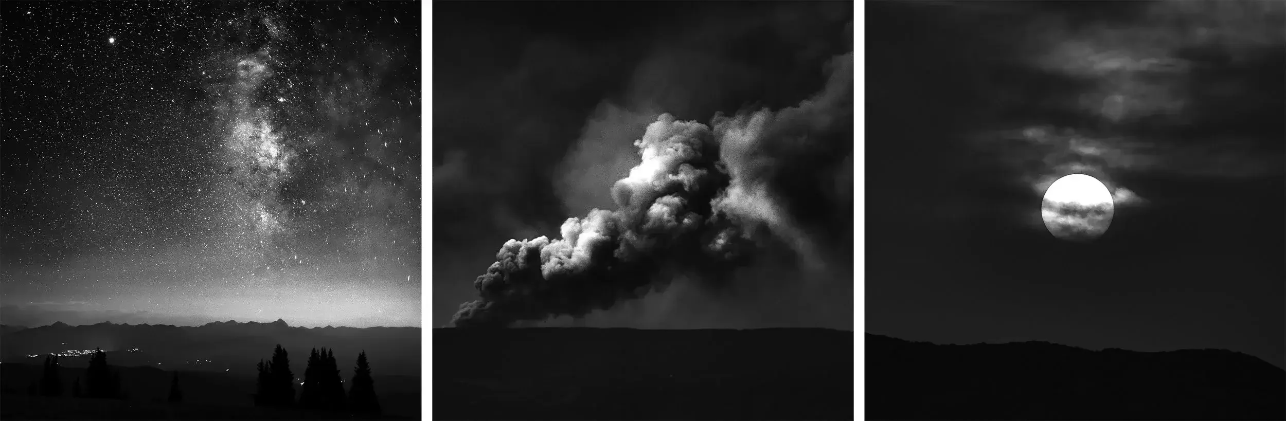 Disturbance - Tamara Susa