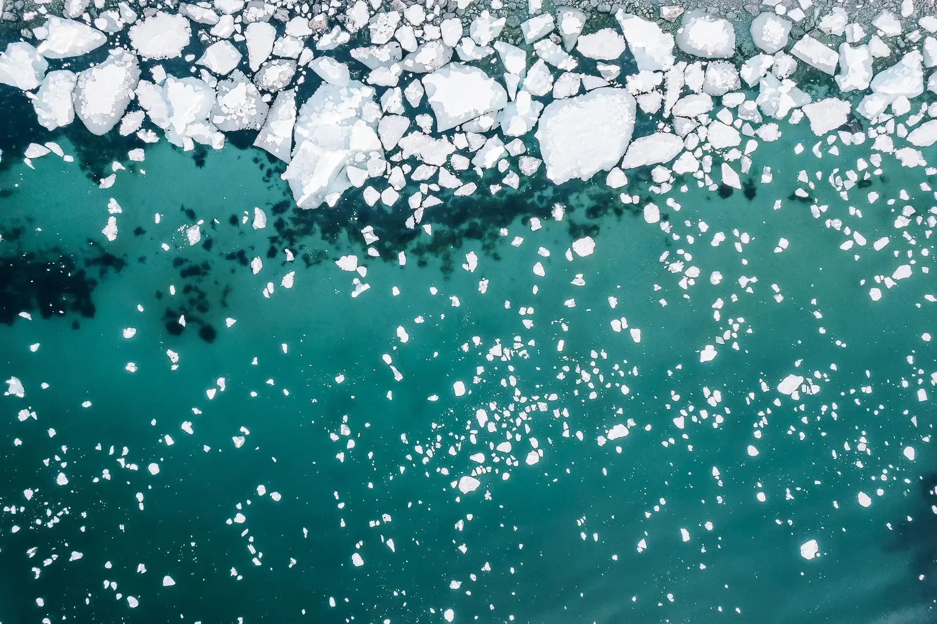 An aerial view of icebergs floating in a cold, turquoise body of water.