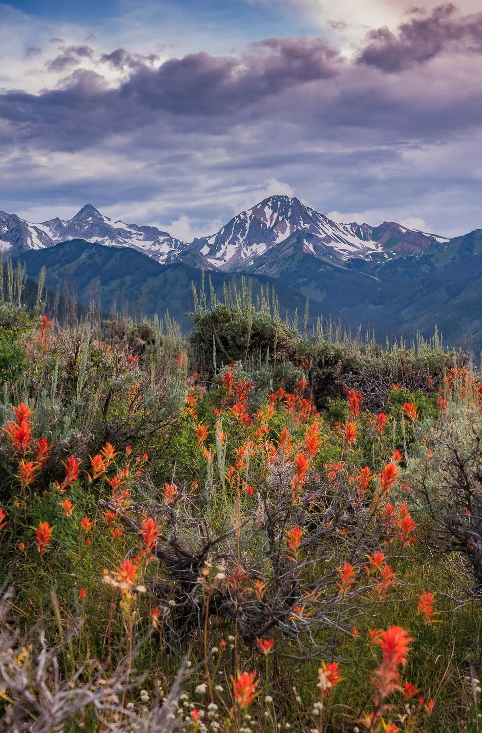 TamaraSusa_FourSeasonsinSnowmass-79.jpg