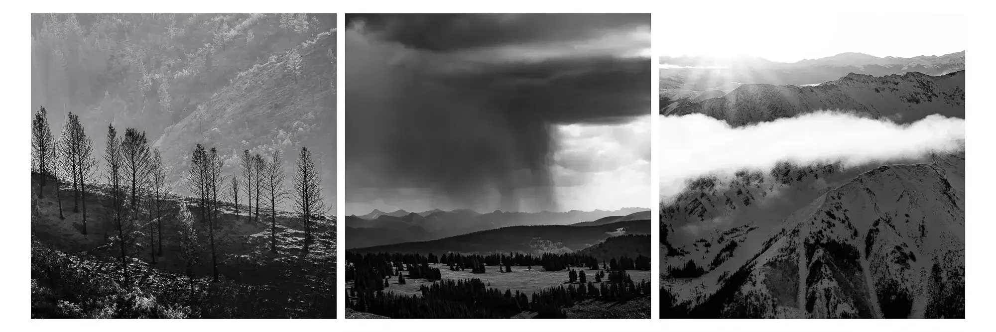 Three black and white photos of mountain landscapes, featuring trees, stormy skies, and snow-covered peaks.
