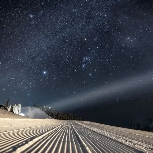 Moonlit Corduroy