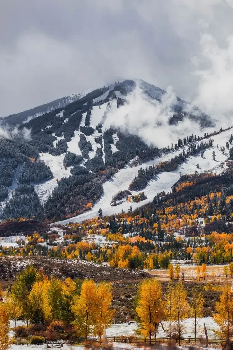 A snow-covered mountain with ski trails and dense evergreen trees, with trees in fall colors at the base.
