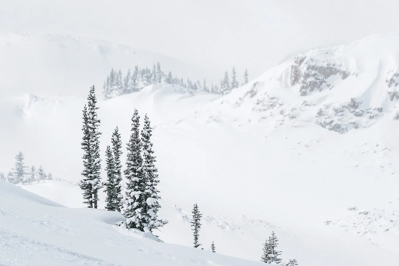 Tamara_Susa__Winter_Colorado_Snowmass-00464.jpg