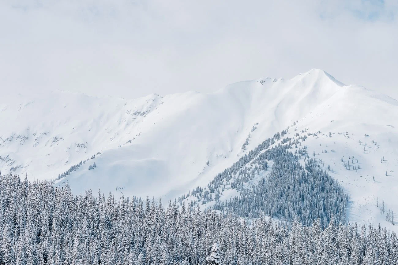 Tamara_Susa__Winter_Colorado_Snowmass-08997.jpg
