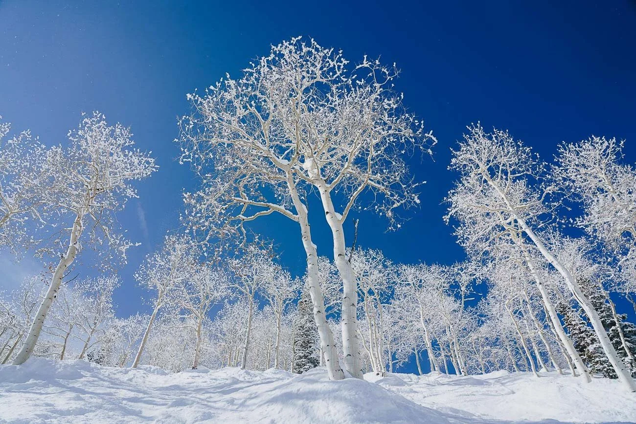 Aspen Mountain Dumps