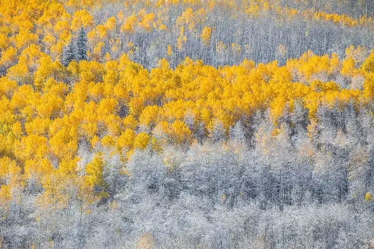 Seasons Collide