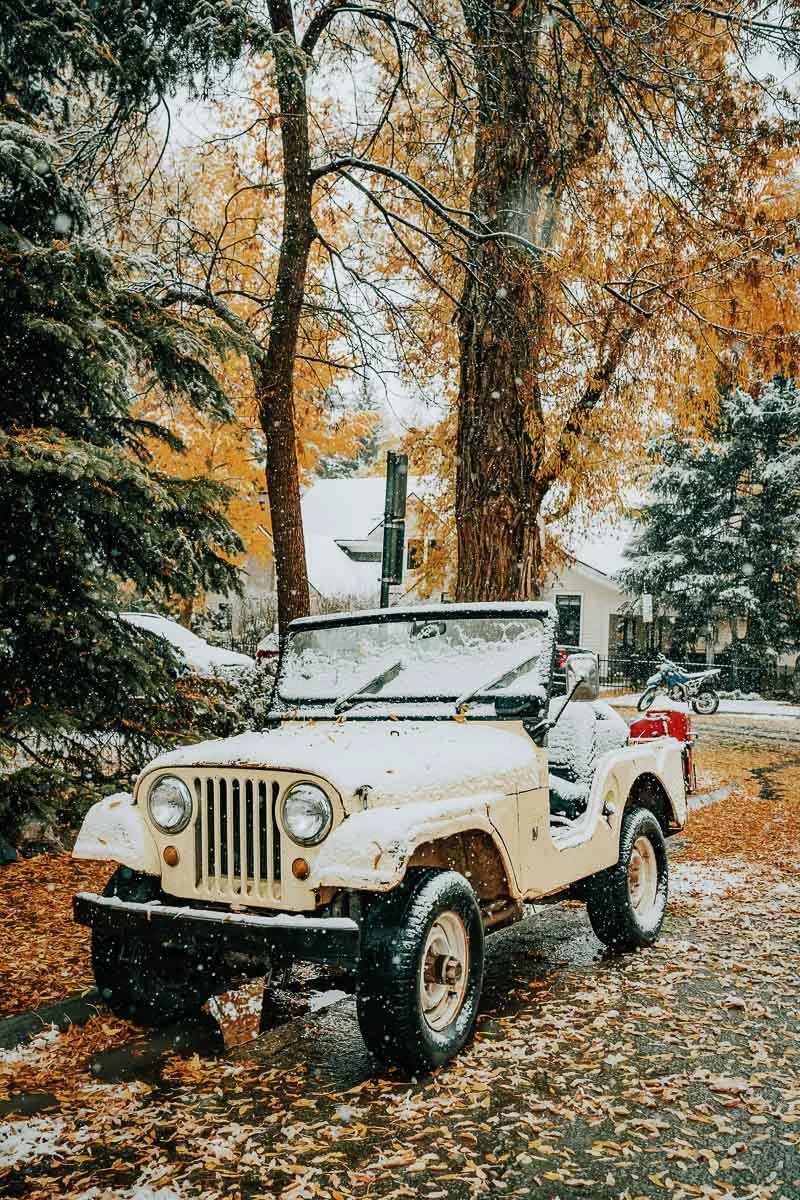 TamaraSusa_HistoricAspen_FallMeetsWinter2025-49.jpg