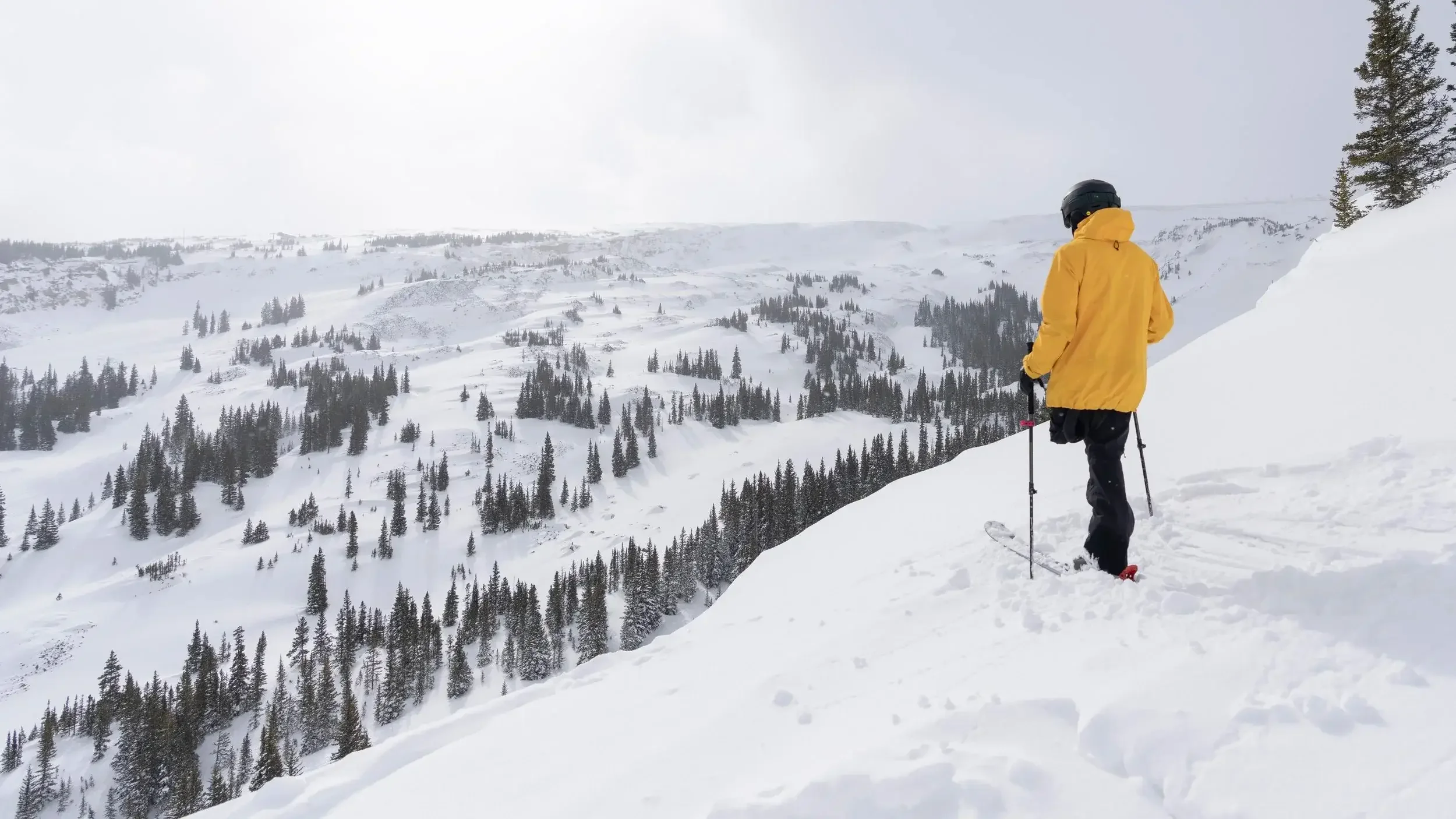 one legged skier looking at the ski slopes