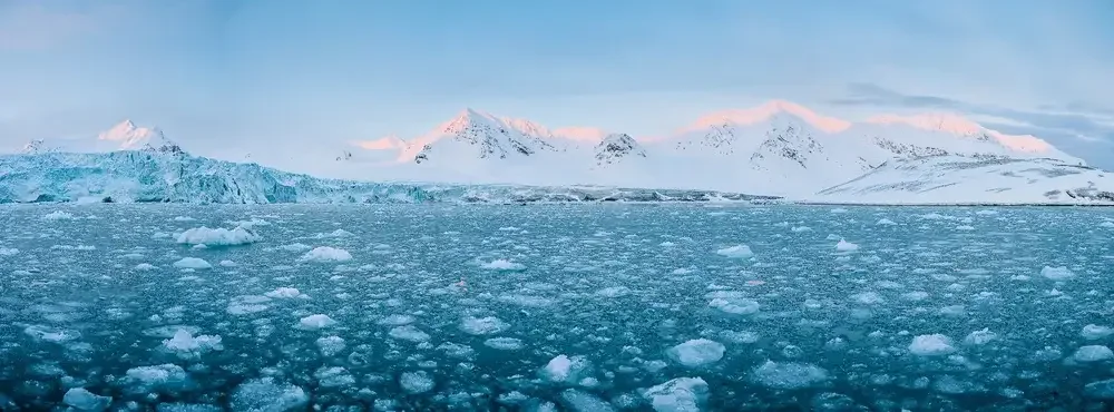 Ice-covered ocean with floating ice chunks and snow-capped mountains in the background
