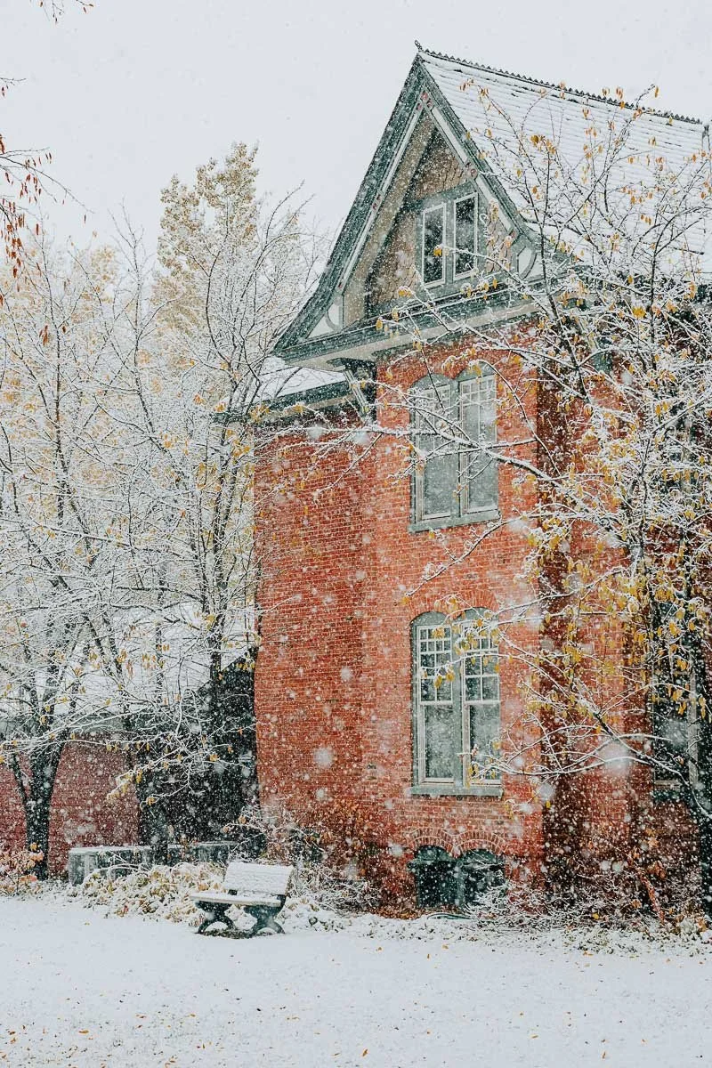 TamaraSusa_HistoricAspen_FallMeetsWinter2025-44.jpg
