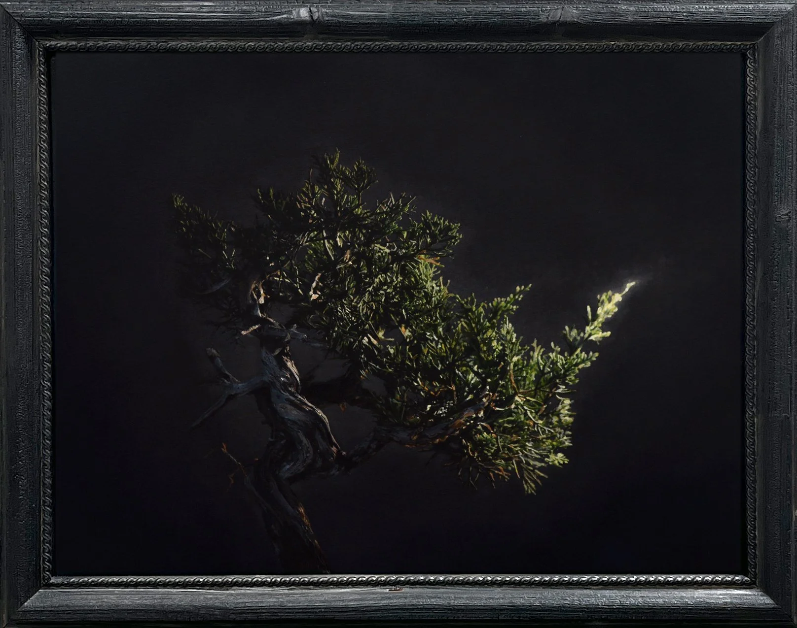 Ashe Juniper #1. Oil and acrylic on canvas-panel in charred frame, 20 x 26, framed 24 ½ x 30 ½ inches.  $3,750 (giclée prints available)