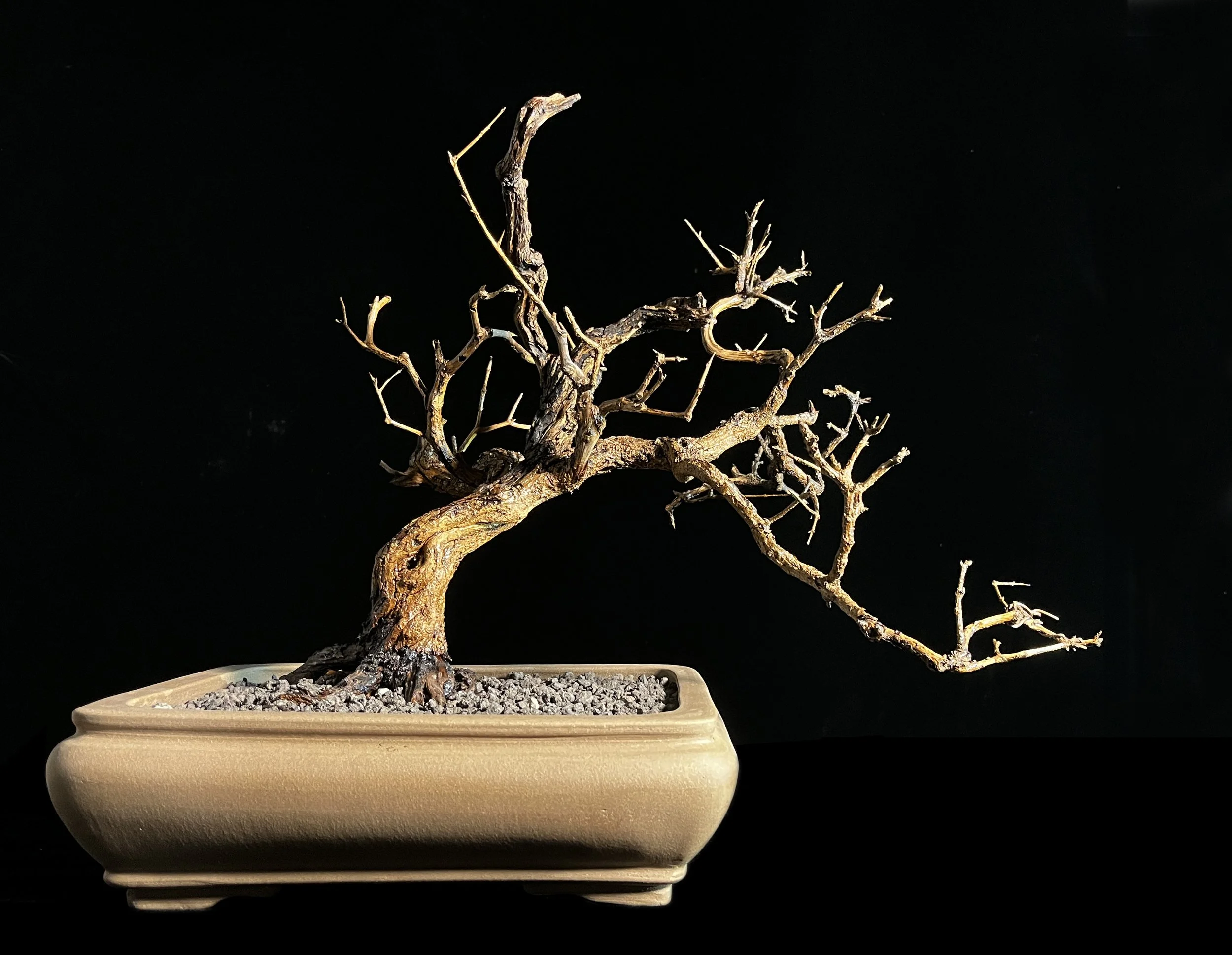 PL.9_25. Failed bonsai, copper wire, resin, stone, polyurethane, ceramic pot, 16 x 19½ x 13 inches, (40.6 x 49.5 x 33 cm).
