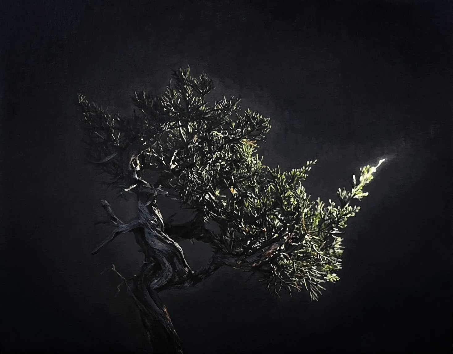 Más Profundo Dentro (Deeper Within). 
Oil and acrylic on canvas panel, 20 x 26 inches, (51 x 66 cm).