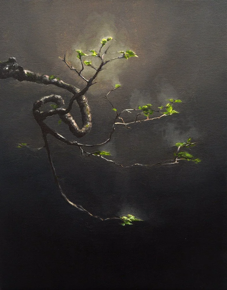 Chinese Elm #1. Oil and acrylic on canvas-panel, 13 ½ x 10 ½ inches, unframed. $1,050 (giclée prints available)