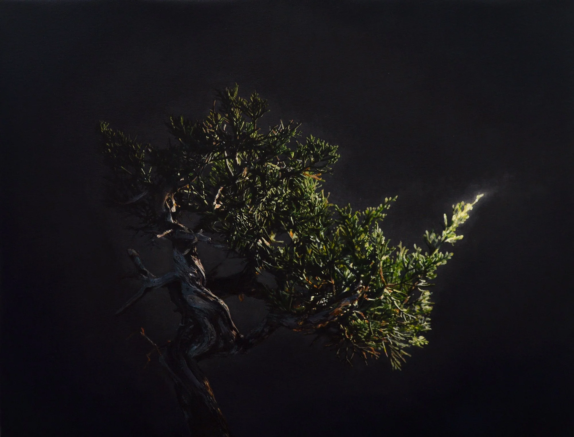 PL.7_25. Oil and acrylic on canvas-panel, 20 x 26 inches, (51 x 66 cm).