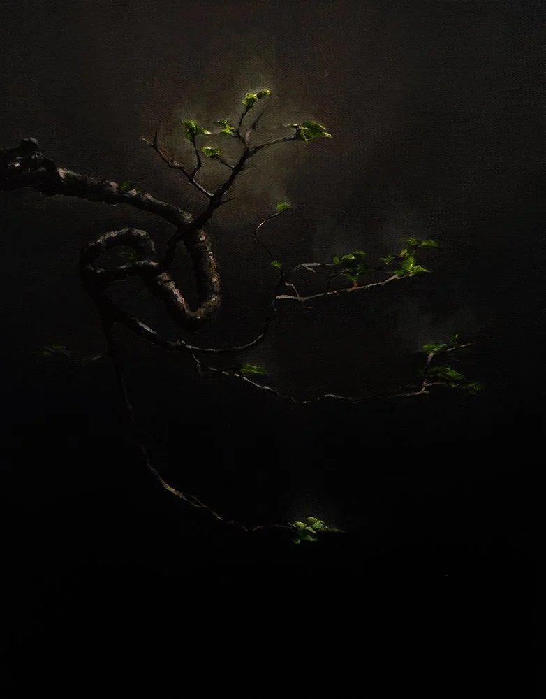 Chinese Elm #1. Oil and acrylic on canvas-panel, 13 ½ x 10 ½ inches, unframed. (giclée prints available)