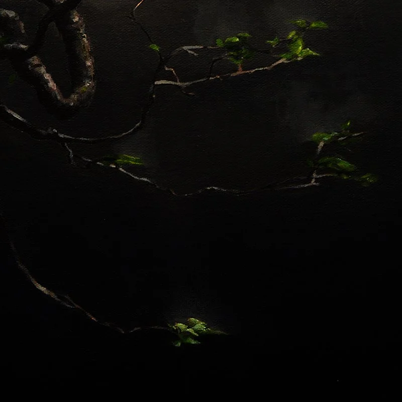 Chinese Elm #1 [detail]