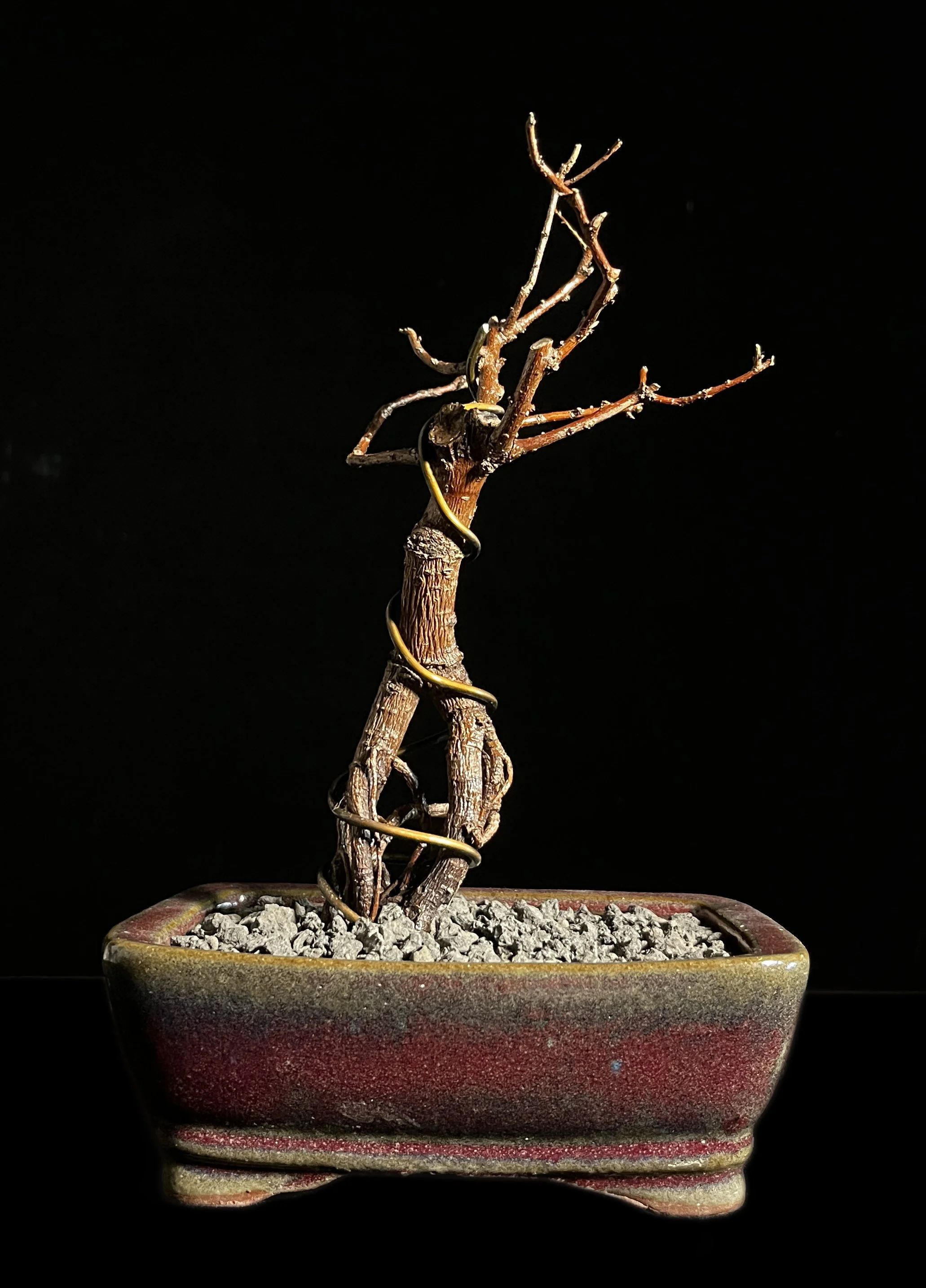PL.8_25. Failed bonsai, copper wire, resin, stone, polyurethane, ceramic pot, 10 x 6 x 5¼ inches, (25.4 x 15.2 x 13.3 cm).