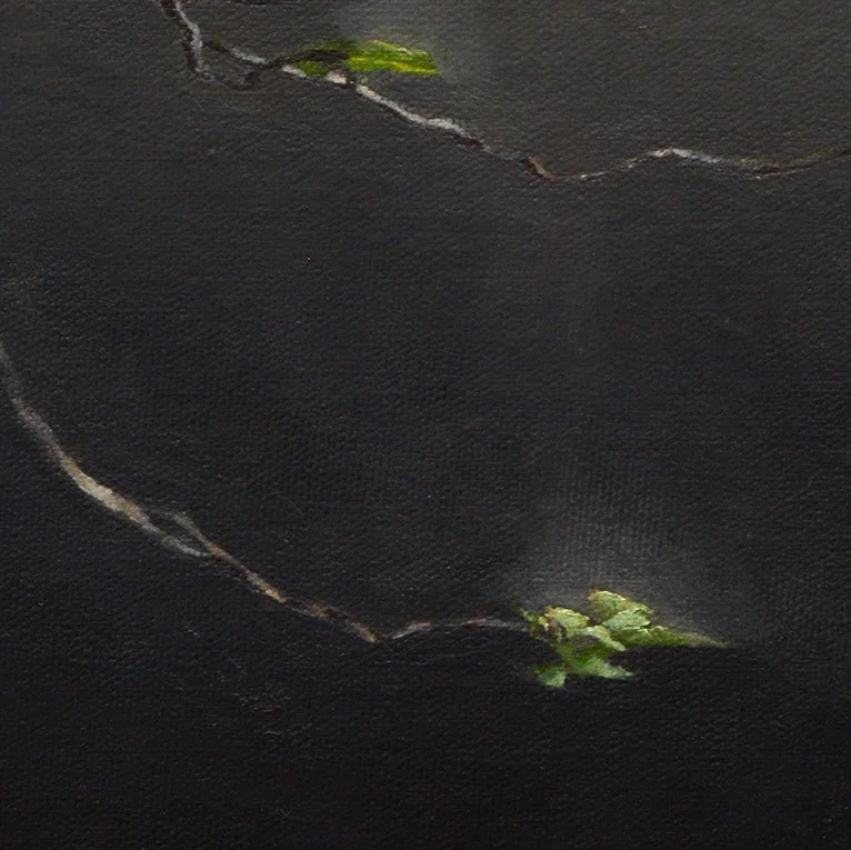 Chinese Elm #1 [detail]