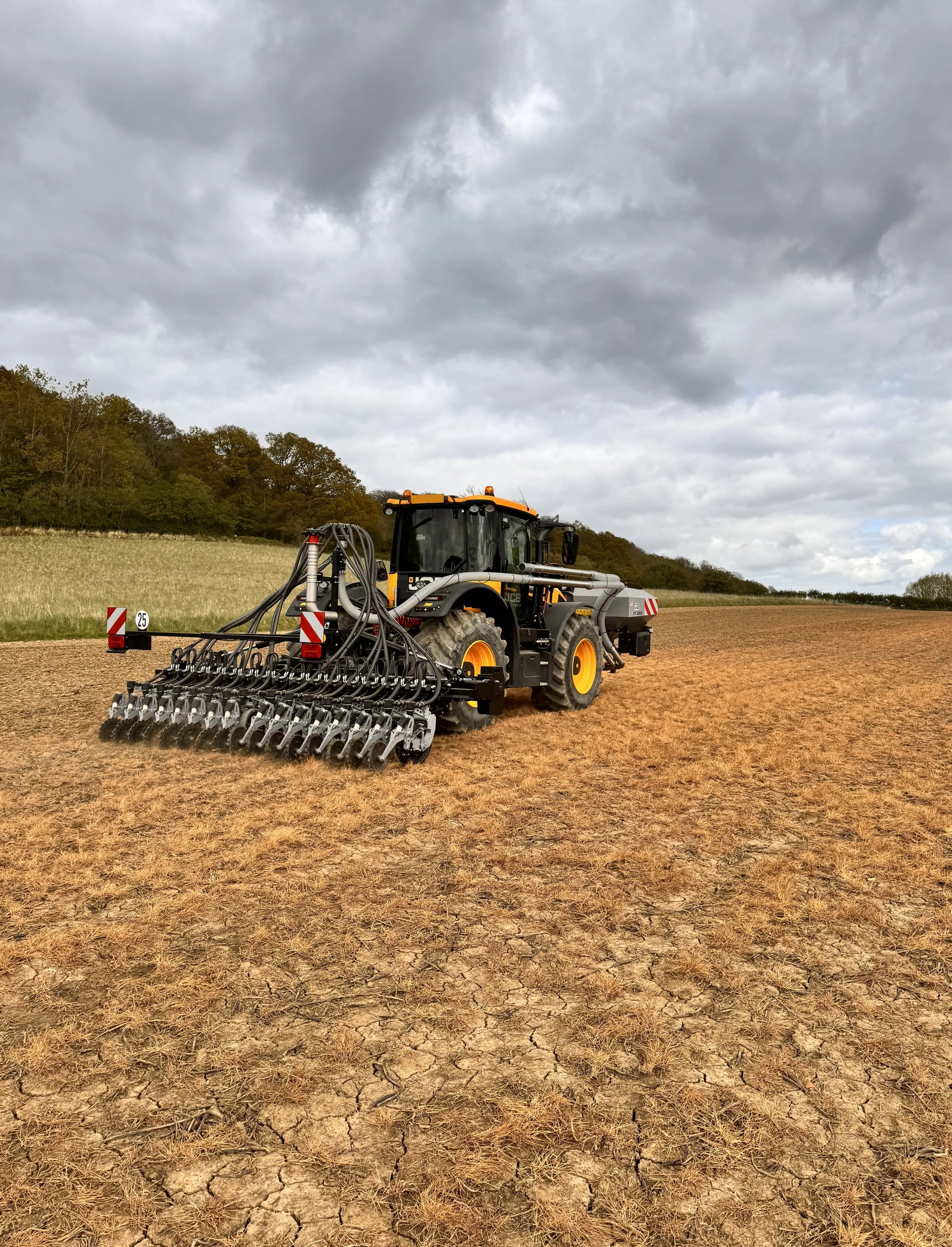 IMG_2700 straight.jpeg