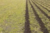 Strip Tillage Guide