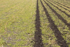 Strip Tillage Guide