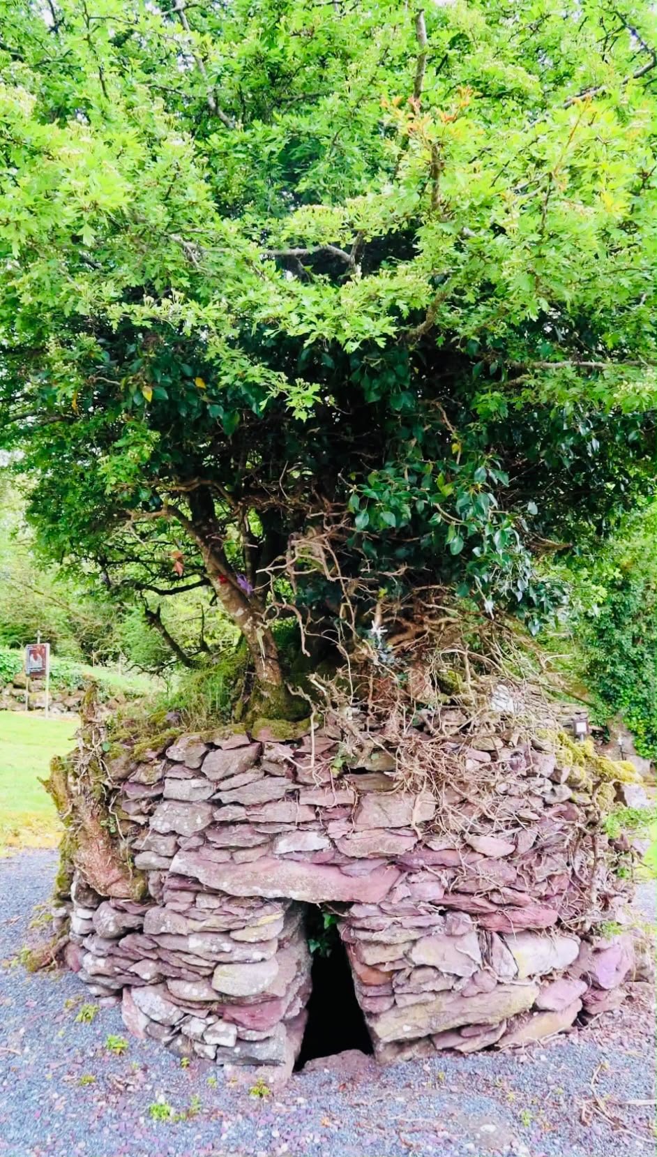 Ireland15.jpeg